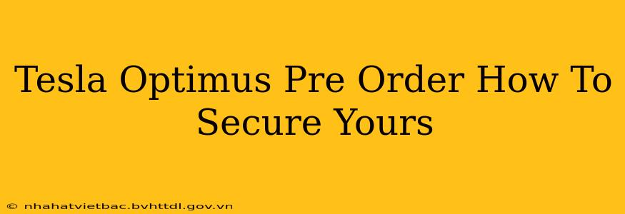 Tesla Optimus Pre Order How To Secure Yours